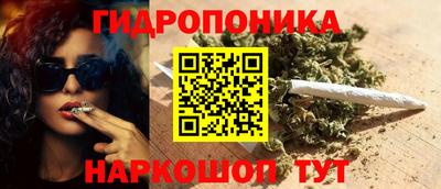 индика Абинск