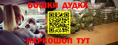 индика Абинск