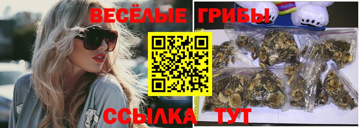 Галлюциногенные грибы Magic Shrooms Анапа
